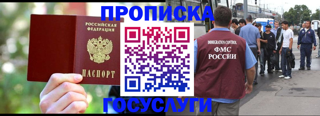 прописка поиск в Новозыбкове